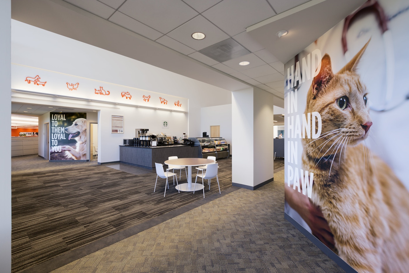 Zoetis Work Lippincott