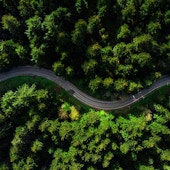 Winding road with forest